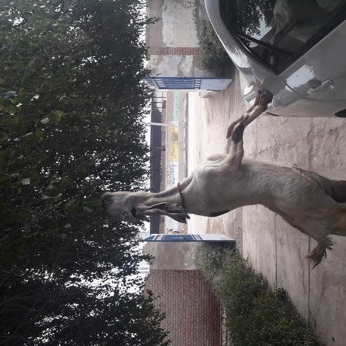 Photo #4169268