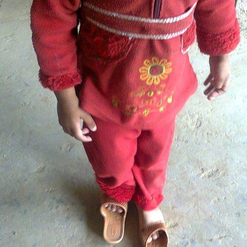 Photo #4169599