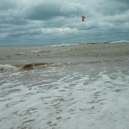 Photo #4169614