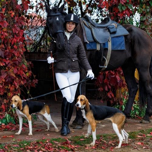 Photo #4170045