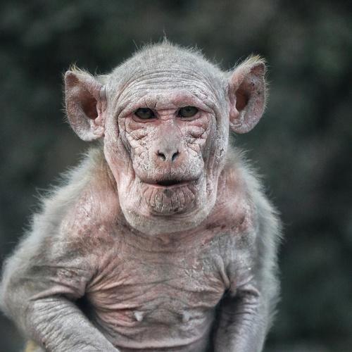 Photo #4170112