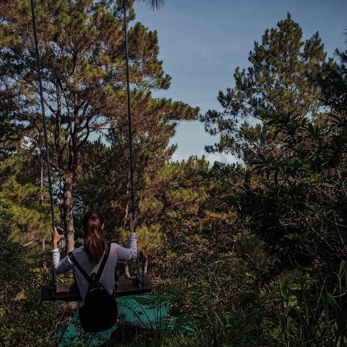 Photo #4170324