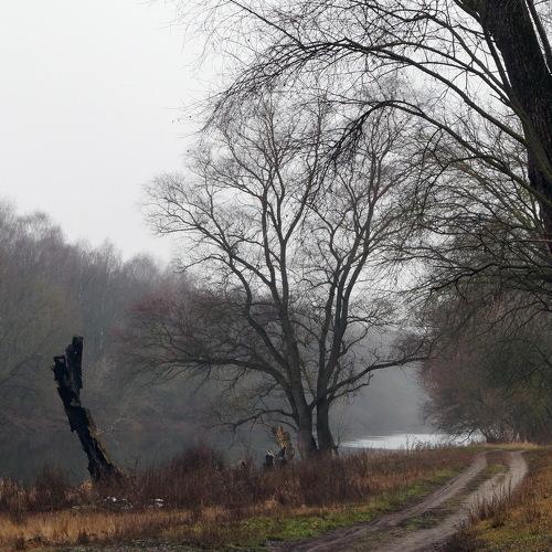 Photo #4170401