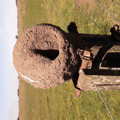 Photo #4170665