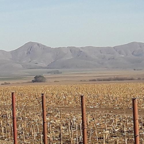 Photo #4170672