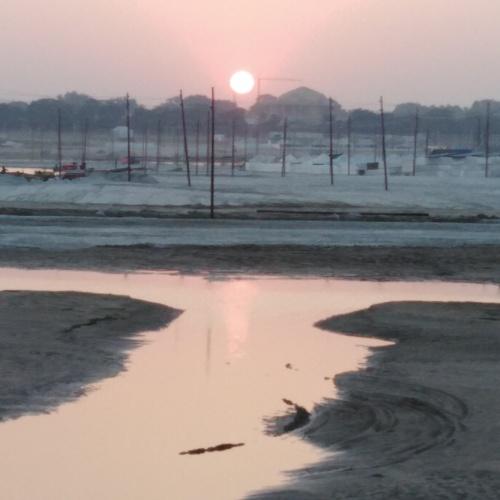 Photo #4171179
