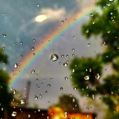 Photo #4171272