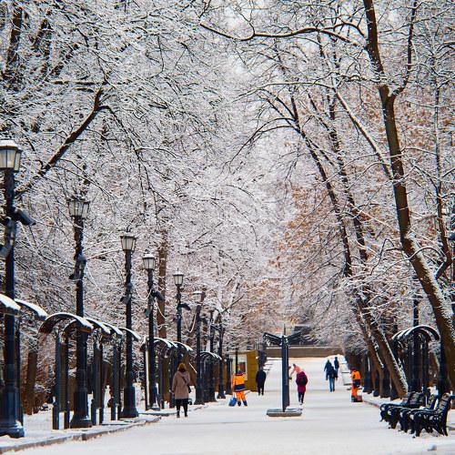 Photo #4171357