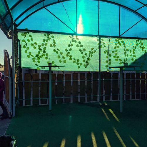 Photo #4171853