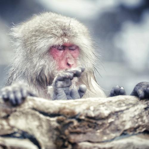 Photo #4171918