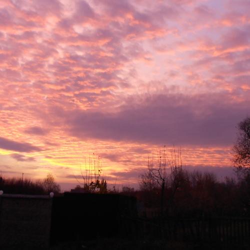 Photo #4172180