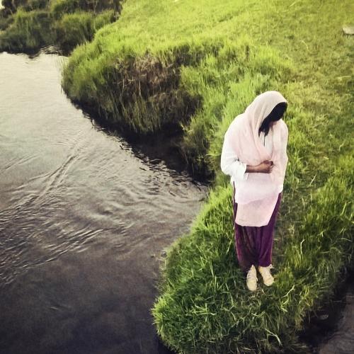 Photo #4172554