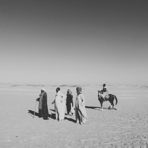Photo #4172611