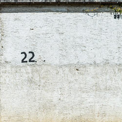 Photo #4172759