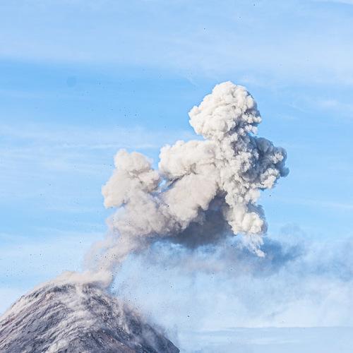 Photo #4172770