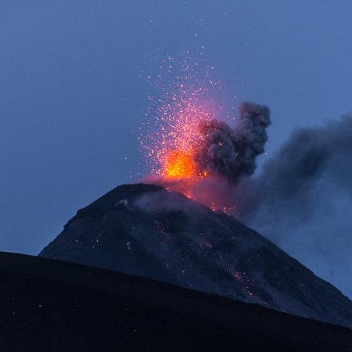 Photo #4172773