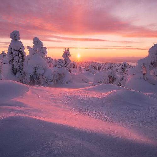 Photo #4172950