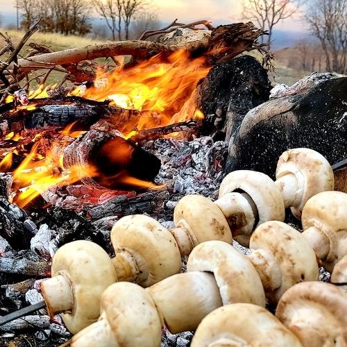 kurdistan