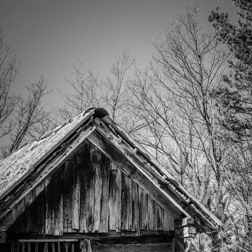 Photo #4173029