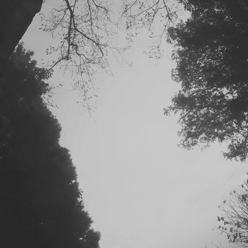 Photo #4173271