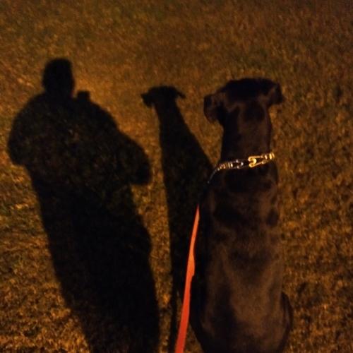 Photo #4173455