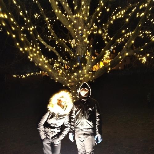 Photo #4173456
