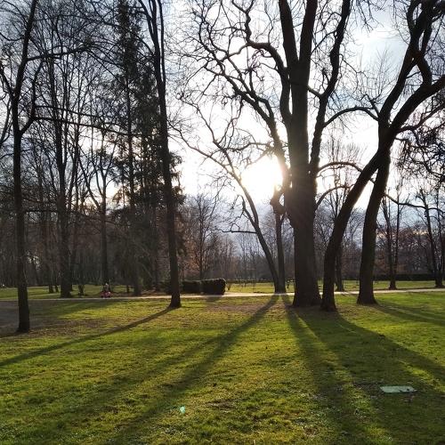 Photo #4173458
