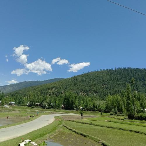 Photo #4173920