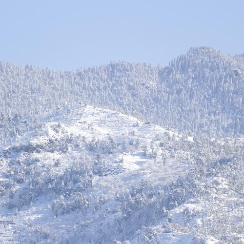 Photo #4173927