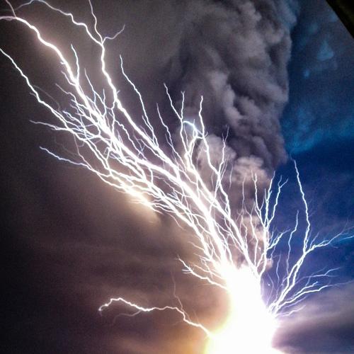 Photo #4174210