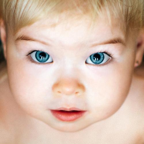 Photo #4174269
