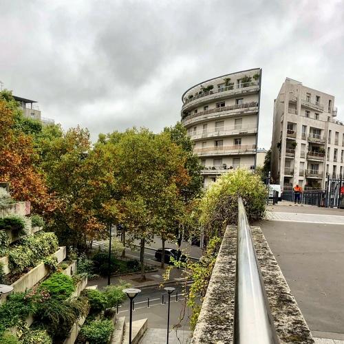 Photo #4174305