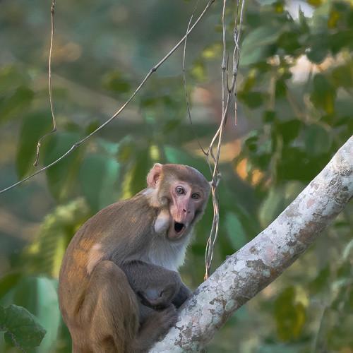 Photo #4174636