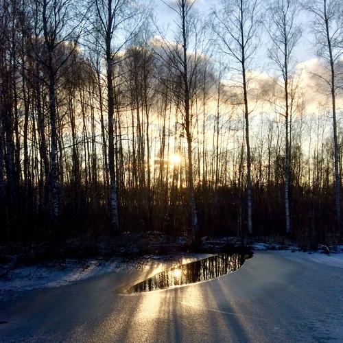 Photo #4175115