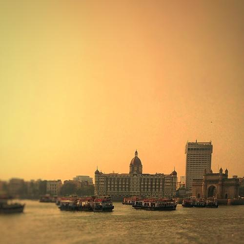 Photo #4175249