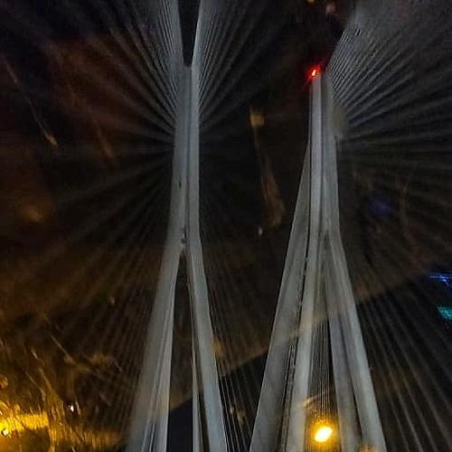Photo #4175269