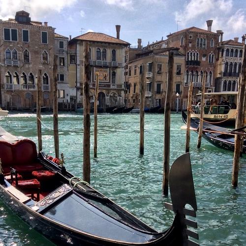 Photo #4175551