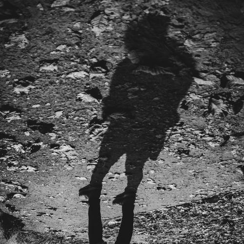 Photo #4175833