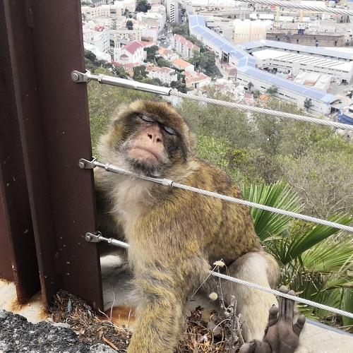 Photo #4176001