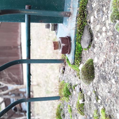 Photo #4176530