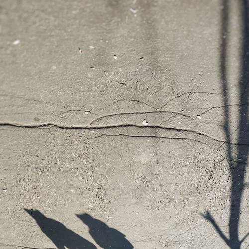 Photo #4176655
