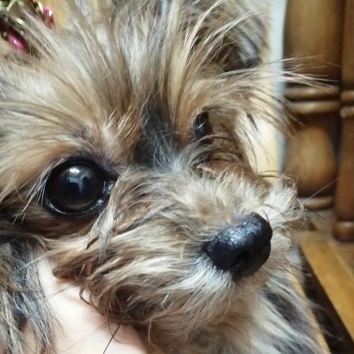 Photo #4176737