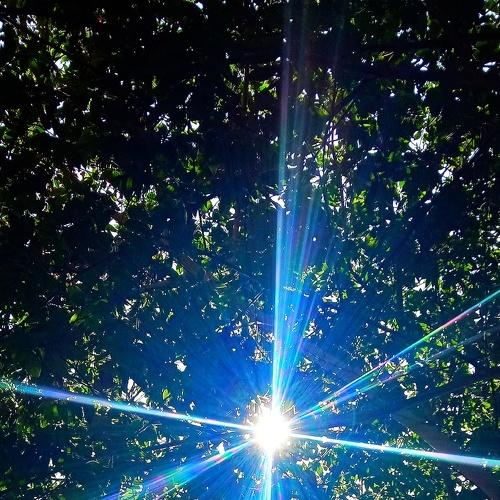 Photo #4176819