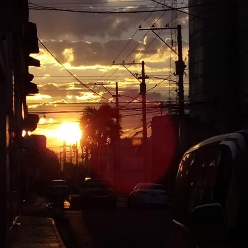 Photo #4176841