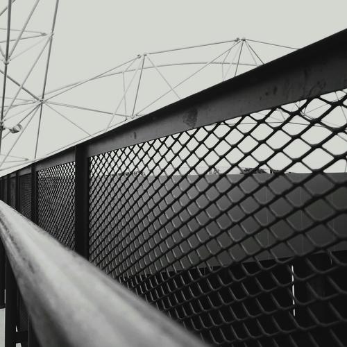 Life Follows The Line