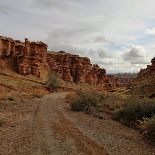 Photo #4177114