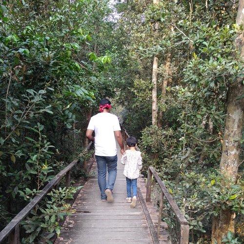 Photo #4177121
