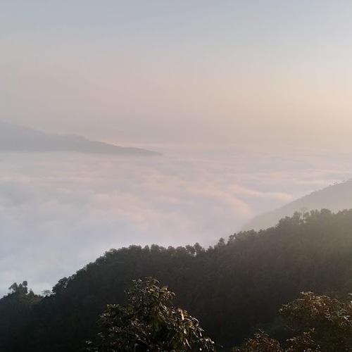 Photo #4177204