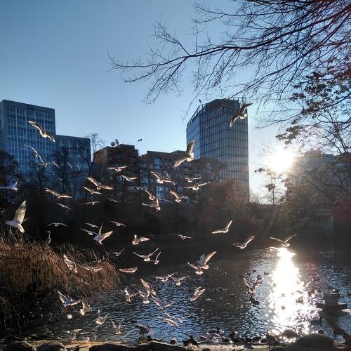 Photo #4177344