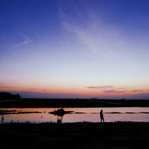 Photo #4177468
